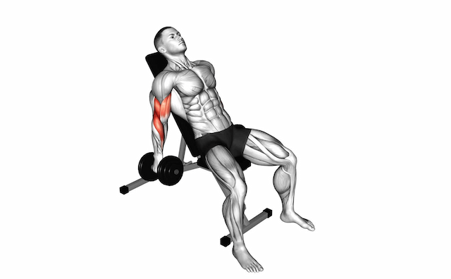 Incline Curl (Dumbbell)