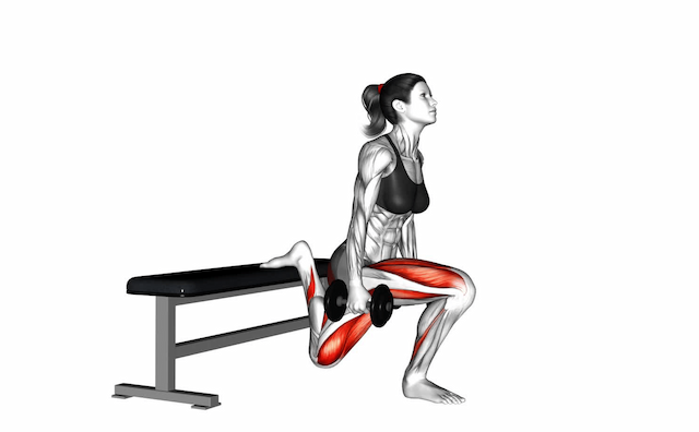 Bulgarian Split Squat (Dumbbell)