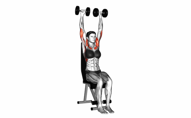 Seated Shoulder Press (Dumbbell)