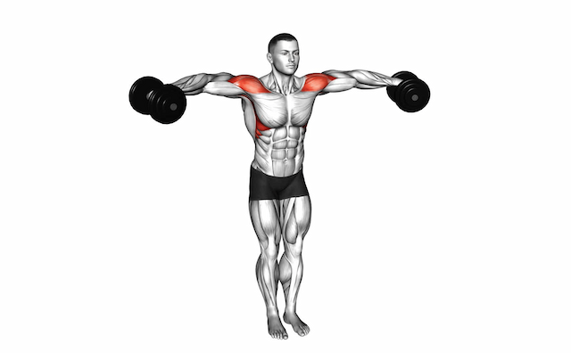 Lateral Raise (Dumbbell)