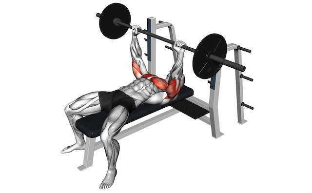 Bench Press (Barbell)