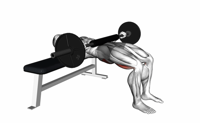Hip Thrust (Barbell)