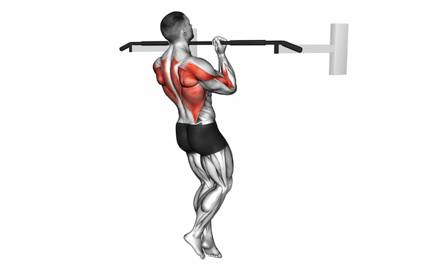 Chin-Up (Bodyweight)