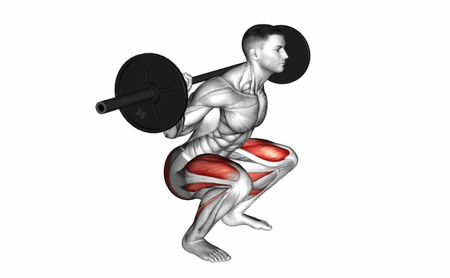 Squat (Barbell)
