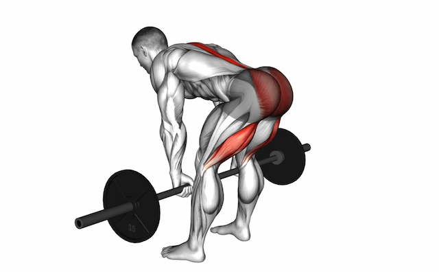 Romanian Deadlift (Barbell)