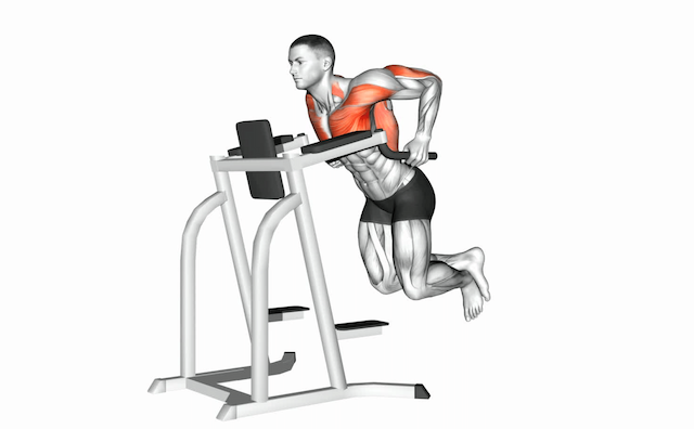 Dip (Bodyweight)