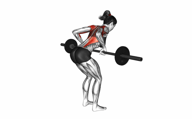 Barbell Row