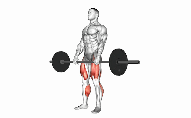 Deadlift (Barbell)