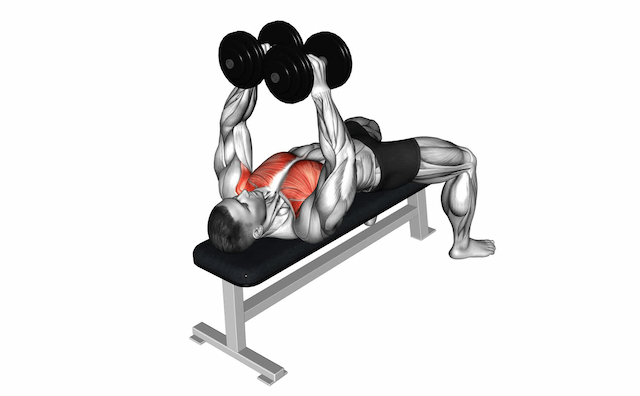 Chest Fly (Dumbbell)