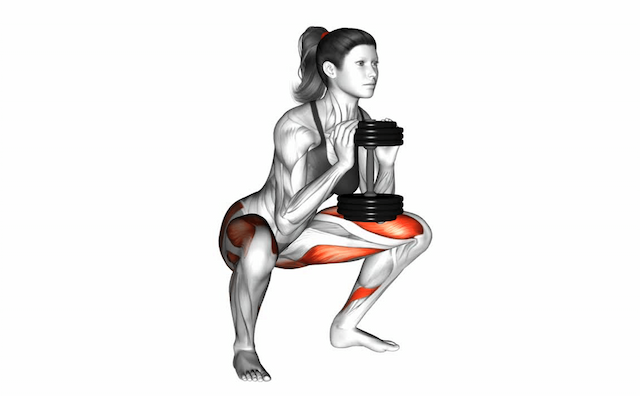 Goblet Squat