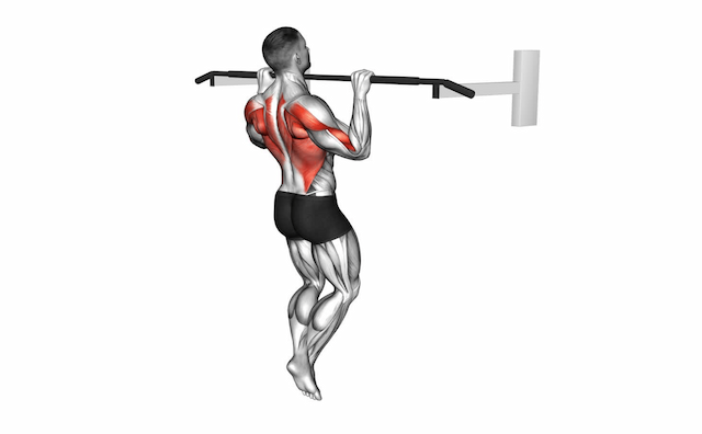 Pull-Up (Bodyweight)