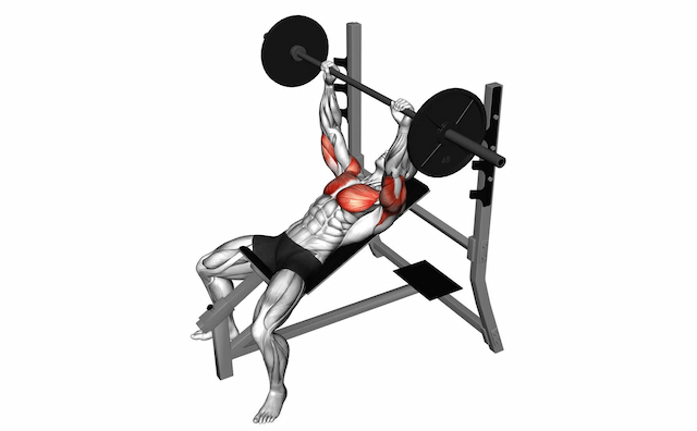 Incline Bench Press (Barbell)