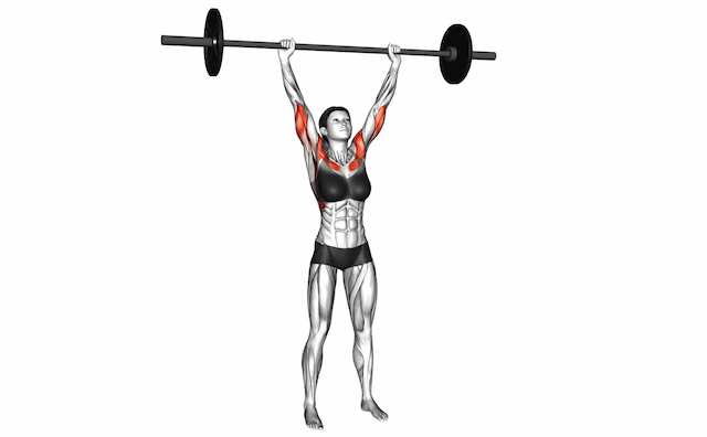 Overhead Press (Barbell)