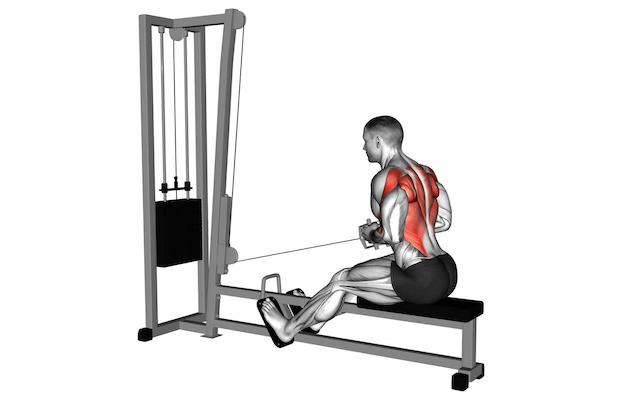 Seated Row (Cable)
