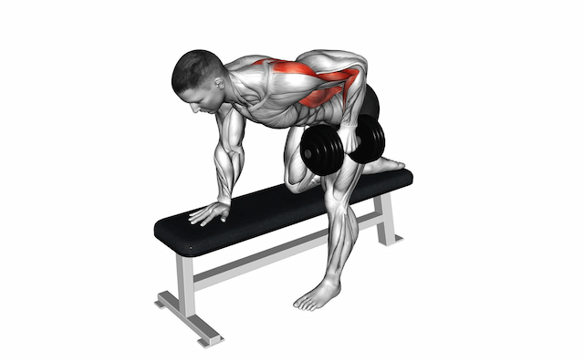 Dumbbell Row