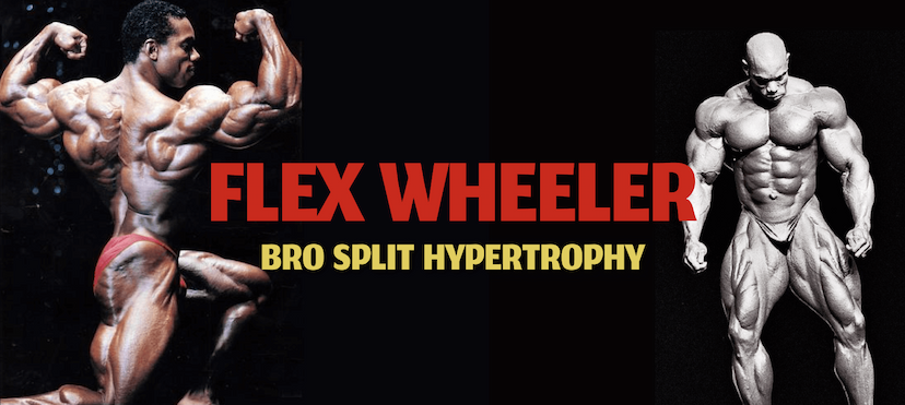 Flex Wheeler Bro Split Hypertrophy