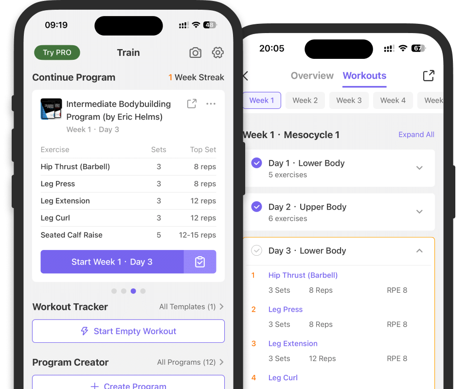 Daily workout planning interface showing structured fitness program