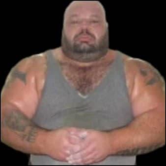 mass gain program