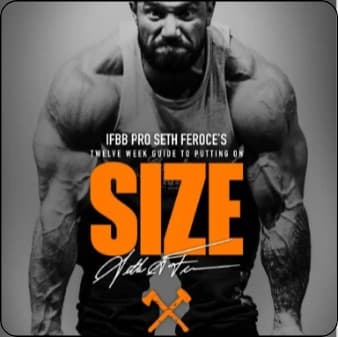 Seth Feroce's 12 Week To Size Program